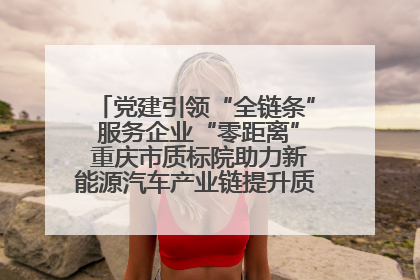 党建引领“全链条” 服务企业“零距离” 重庆市质标院助力新能源汽车产业链提升质量管理水平