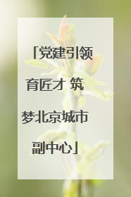 党建引领育匠才 筑梦北京城市副中心
