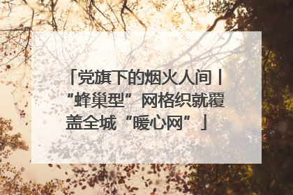 党旗下的烟火人间丨“蜂巢型”网格织就覆盖全城“暖心网”