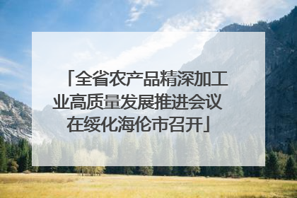全省农产品精深加工业高质量发展推进会议在绥化海伦市召开