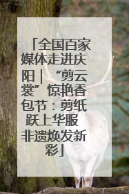 全国百家媒体走进庆阳｜“剪云裳”惊艳香包节：剪纸跃上华服 非遗焕发新彩