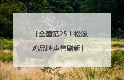 全国第25！松滋鸡品牌声誉刷新