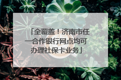 全覆盖！济南市任一合作银行网点均可办理社保卡业务