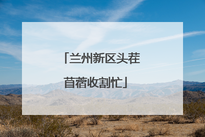 兰州新区头茬苜蓿收割忙