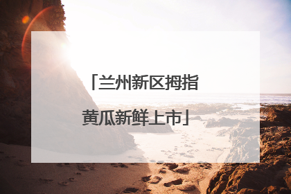 兰州新区拇指黄瓜新鲜上市