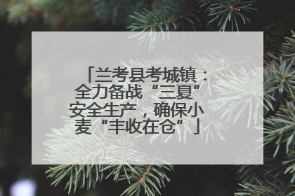 兰考县考城镇：全力备战“三夏”安全生产，确保小麦“丰收在仓”