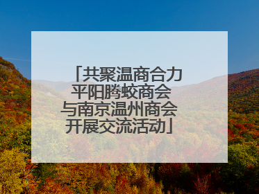共聚温商合力 平阳腾蛟商会与南京温州商会开展交流活动