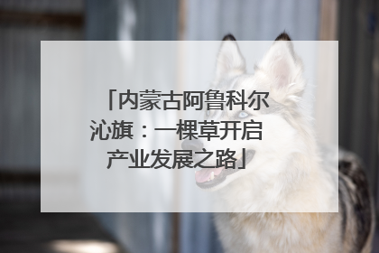 内蒙古阿鲁科尔沁旗：一棵草开启产业发展之路
