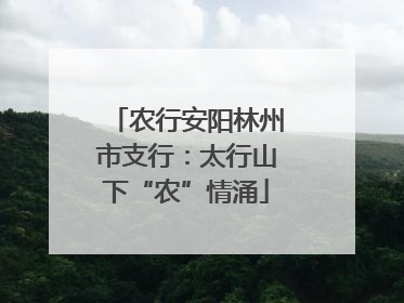 农行安阳林州市支行：太行山下“农”情涌