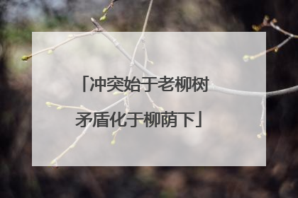 冲突始于老柳树 矛盾化于柳荫下