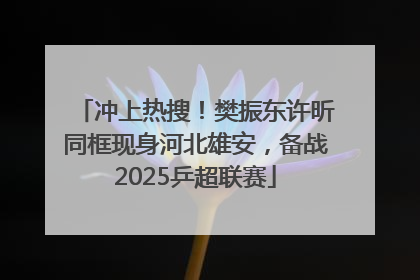 冲上热搜！樊振东许昕同框现身河北雄安，备战2025乒超联赛