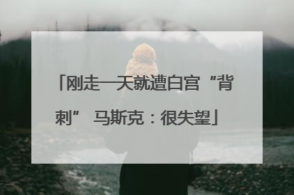 刚走一天就遭白宫“背刺” 马斯克：很失望