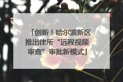 创新！哈尔滨新区推出律所“远程视频审查”审批新模式