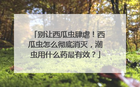 别让西瓜虫肆虐！西瓜虫怎么彻底消灭，潮虫用什么药最有效？
