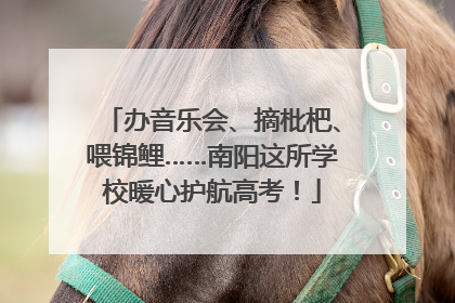办音乐会、摘枇杷、喂锦鲤……南阳这所学校暖心护航高考！