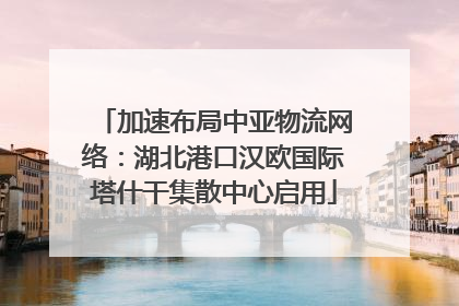 加速布局中亚物流网络：湖北港口汉欧国际塔什干集散中心启用