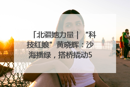 北疆她力量｜“科技红娘”黄晓辉：沙海播绿，搭桥撬动5.3亿研发