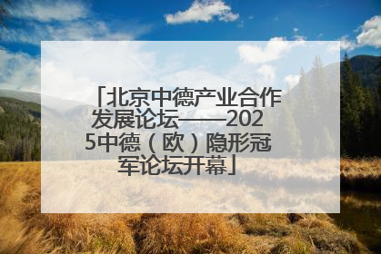 北京中德产业合作发展论坛——2025中德（欧）隐形冠军论坛开幕