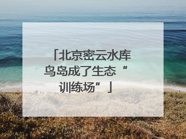 北京密云水库鸟岛成了生态“训练场”