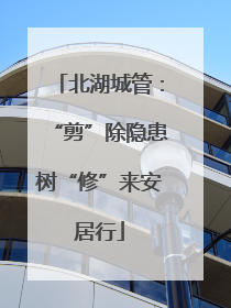 北湖城管：“剪”除隐患树“修”来安居行