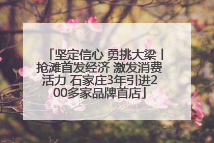 坚定信心 勇挑大梁丨抢滩首发经济 激发消费活力 石家庄3年引进200多家品牌首店