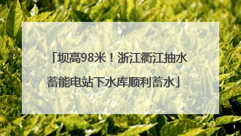 坝高98米！浙江衢江抽水蓄能电站下水库顺利蓄水