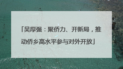 吴厚强：聚侨力、开新局，推动侨乡高水平参与对外开放