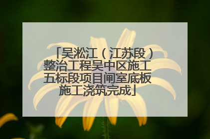 吴淞江（江苏段）整治工程吴中区施工五标段项目闸室底板施工浇筑完成