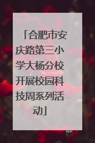 合肥市安庆路第三小学大杨分校开展校园科技周系列活动