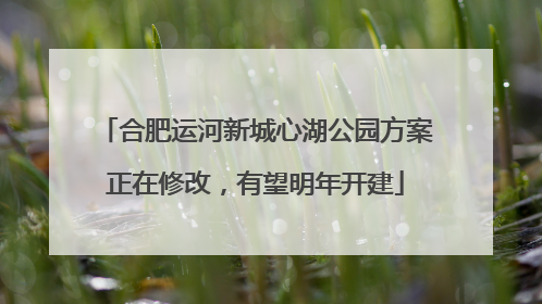 合肥运河新城心湖公园方案正在修改，有望明年开建