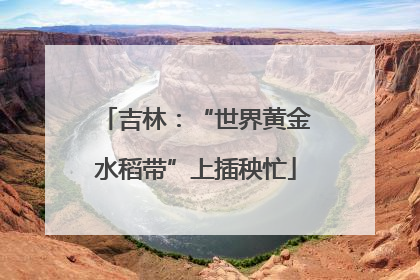 吉林：“世界黄金水稻带”上插秧忙