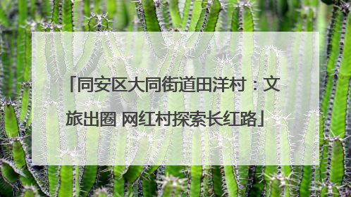 同安区大同街道田洋村：文旅出圈 网红村探索长红路