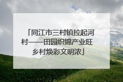 同江市三村镇拉起河村——田园织锦产业旺 乡村焕彩文明浓