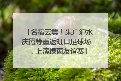 名宿云集！朱广沪水庆霞等重返虹口足球场，上演绿茵友谊赛