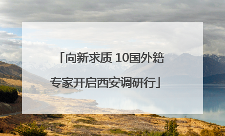 向新求质 10国外籍专家开启西安调研行