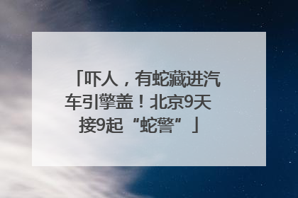 吓人，有蛇藏进汽车引擎盖！北京9天接9起“蛇警”