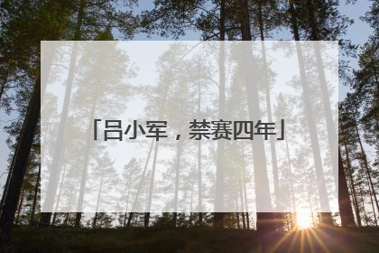 吕小军，禁赛四年