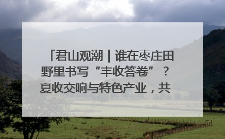 君山观潮｜谁在枣庄田野里书写“丰收答卷”？夏收交响与特色产业，共绘乡村振兴新图景
