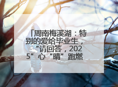 周南梅溪湖：特别的爱给毕业生，“请回答，2025”心“晴”跑燃爆校园