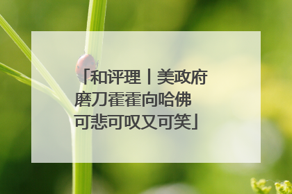 和评理丨美政府磨刀霍霍向哈佛 可悲可叹又可笑