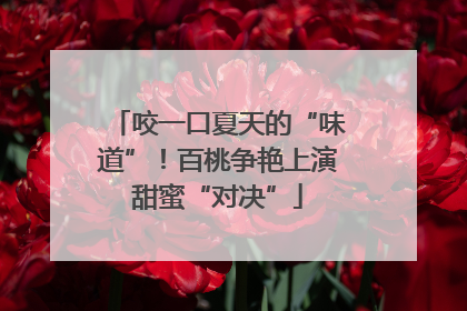 咬一口夏天的“味道”！百桃争艳上演甜蜜“对决”