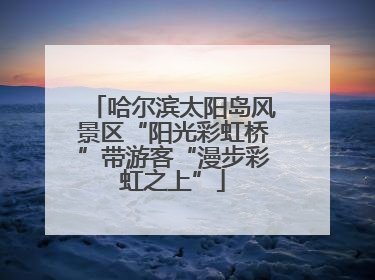 哈尔滨太阳岛风景区“阳光彩虹桥”带游客“漫步彩虹之上”