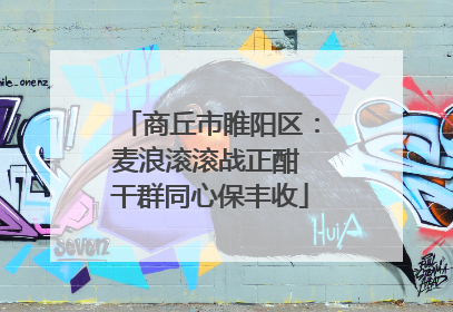商丘市睢阳区：麦浪滚滚战正酣 干群同心保丰收
