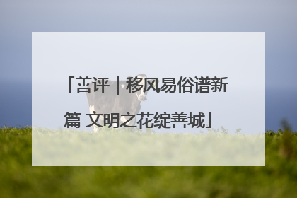 善评｜移风易俗谱新篇 文明之花绽善城