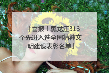 喜报！黑龙江313个先进入选全国精神文明建设表彰名单