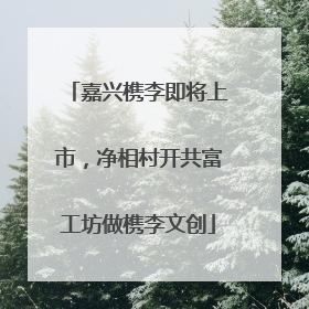 嘉兴槜李即将上市，净相村开共富工坊做槜李文创