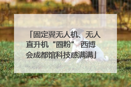 固定翼无人机、无人直升机“圈粉” 西博会成都馆科技感满满