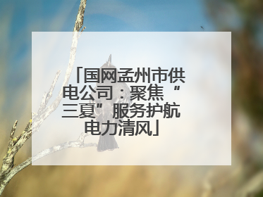 国网孟州市供电公司：聚焦“三夏”服务护航电力清风