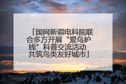 国网新疆电科院联合多方开展“爱鸟护线”科普交流活动 共筑鸟类友好城市
