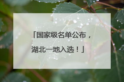 国家级名单公布，湖北一地入选！